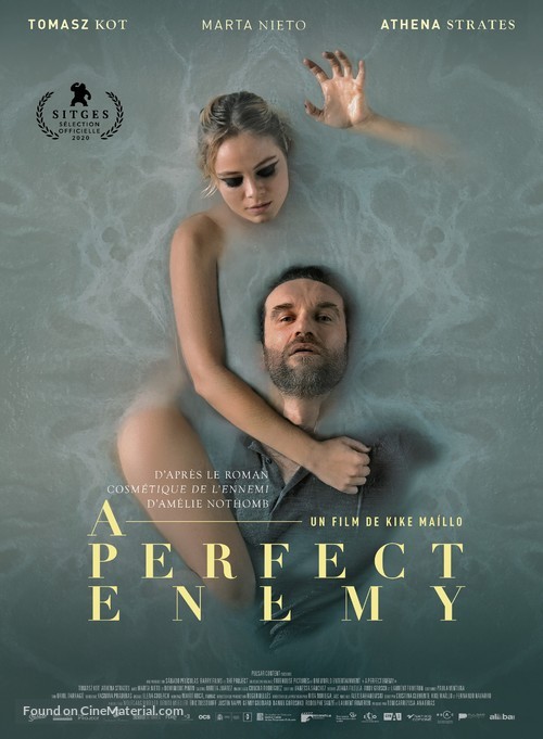 A Perfect Enemy - French Movie Poster