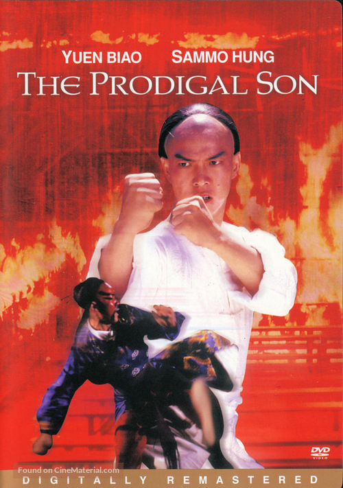 Bai ga jai - DVD movie cover
