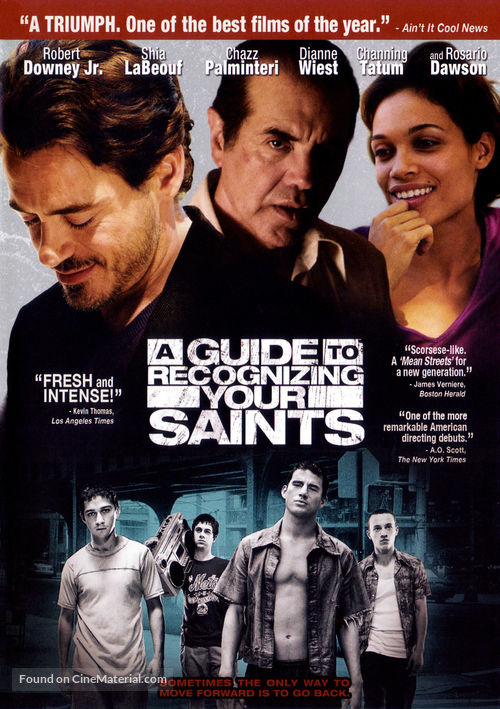 A Guide to Recognizing Your Saints - DVD movie cover