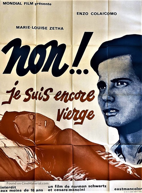 No, sono vergine! - French Movie Poster