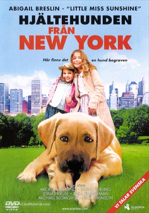 Chestnut: Hero of Central Park - Swedish DVD movie cover