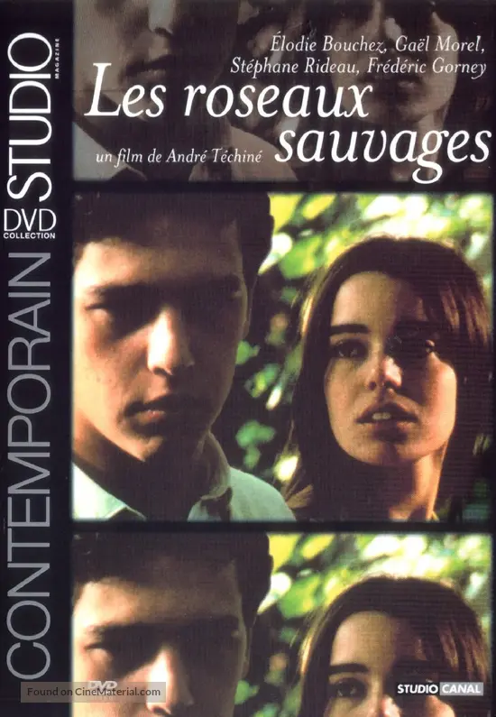 Les roseaux sauvages - French Movie Cover