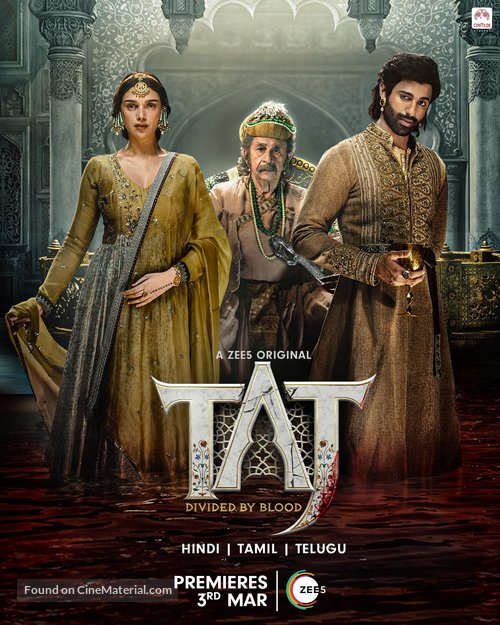 &quot;Taj: Divided by Blood&quot; - Indian Movie Poster