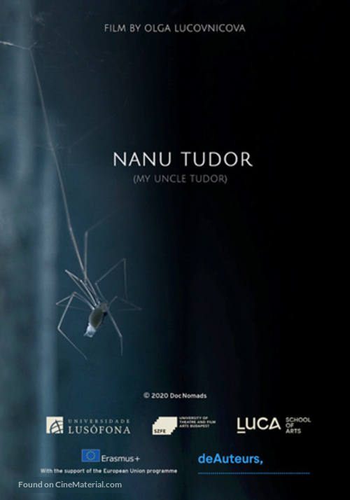 Nanu Tudor - International Movie Poster