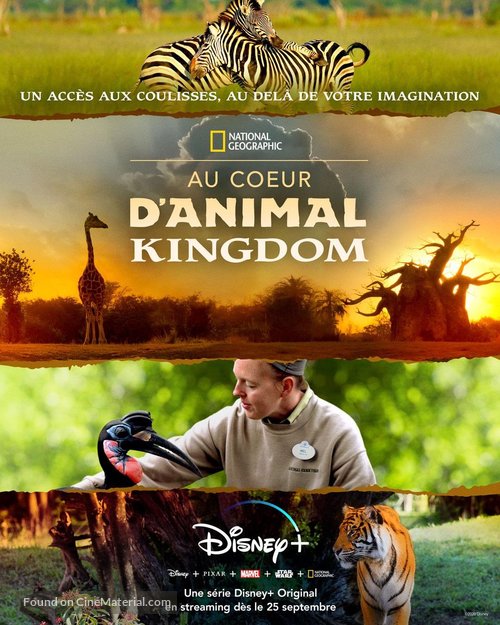 &quot;Magic of Disney&#039;s Animal Kingdom&quot; - French Movie Poster