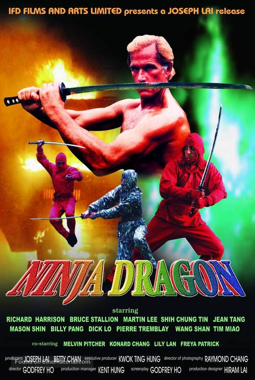 Ninja Dragon - Hong Kong Movie Poster