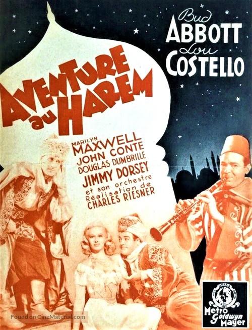 Lost in a Harem - French Movie Poster