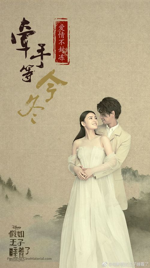 The Dreaming Man - Chinese Movie Poster