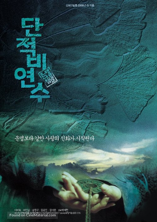 Danjeogbiyeonsu - South Korean Movie Poster