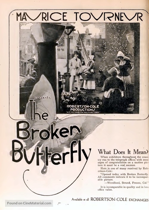 The Broken Butterfly - poster
