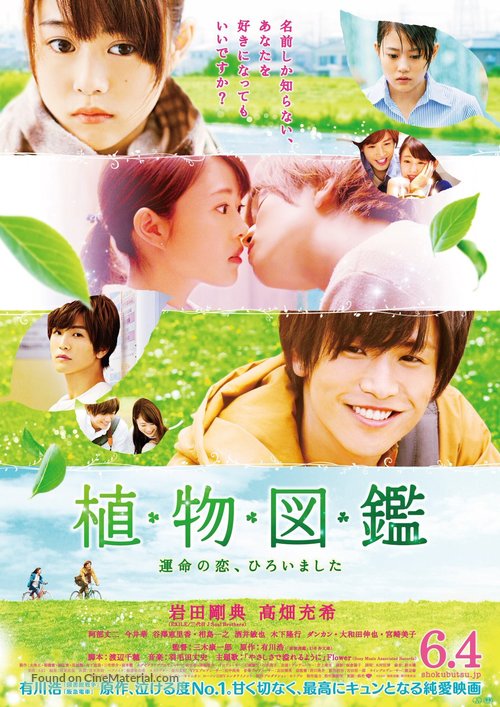 Evergreen Love - Japanese Movie Poster