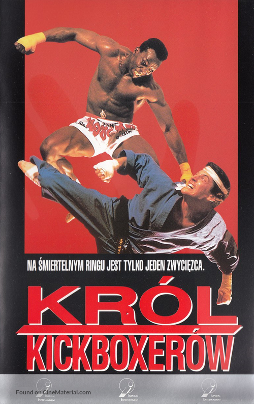 The King of the Kickboxers - Polish Movie Cover