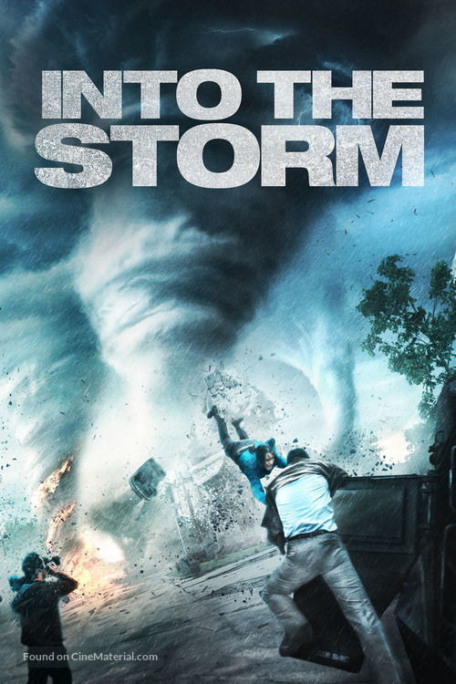 Into the Storm - DVD movie cover