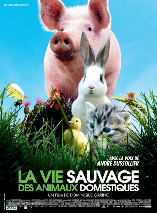 La vie sauvage des animaux domestiques - French Movie Poster
