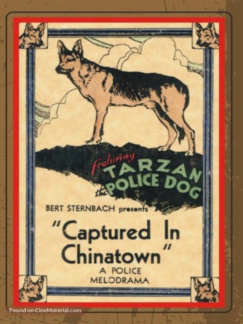 Captured in Chinatown - Movie Poster