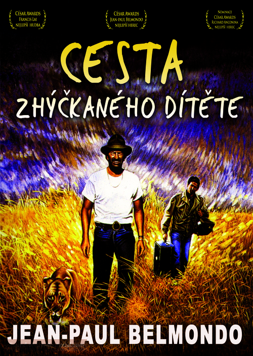 Itin&eacute;raire d&#039;un enfant g&acirc;t&eacute; - Czech DVD movie cover