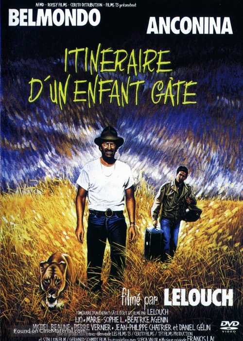 Itin&eacute;raire d&#039;un enfant g&acirc;t&eacute; - French DVD movie cover