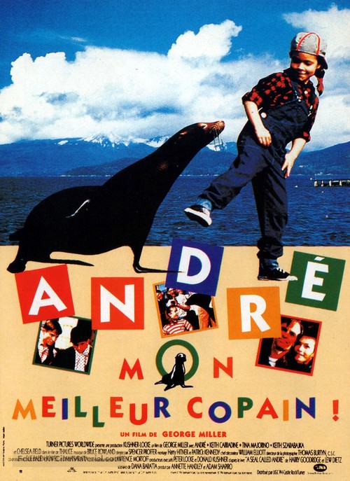 Andre - French Movie Poster