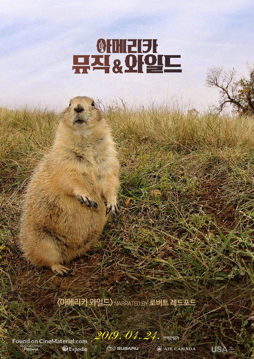 America Wild - South Korean Combo movie poster
