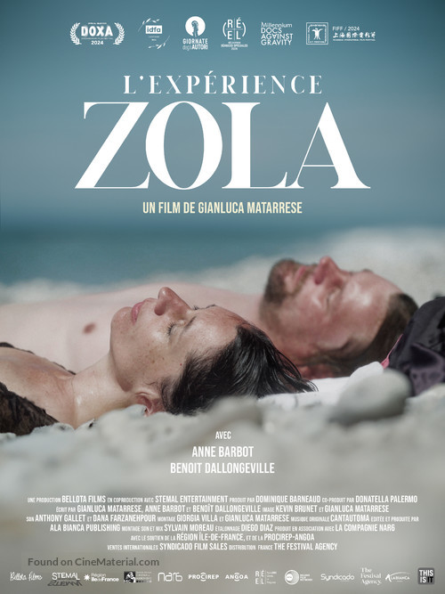 L&#039;exp&eacute;rience Zola - French Movie Poster