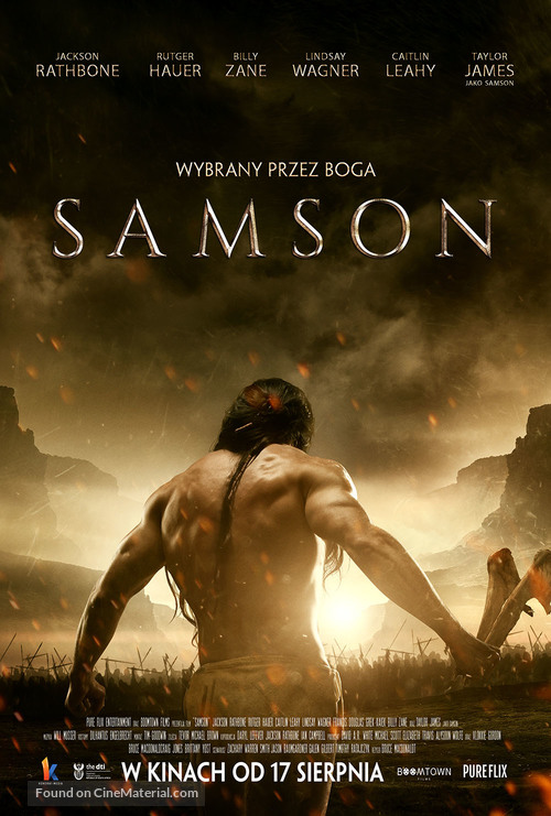 Samson - Polish Movie Poster