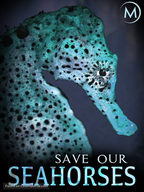 Save our Seahorses - Irish Movie Cover