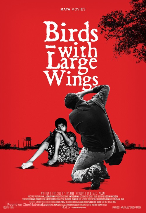 Birds with Large Wings - Indian Movie Poster