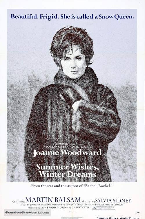 Summer Wishes, Winter Dreams - Theatrical movie poster