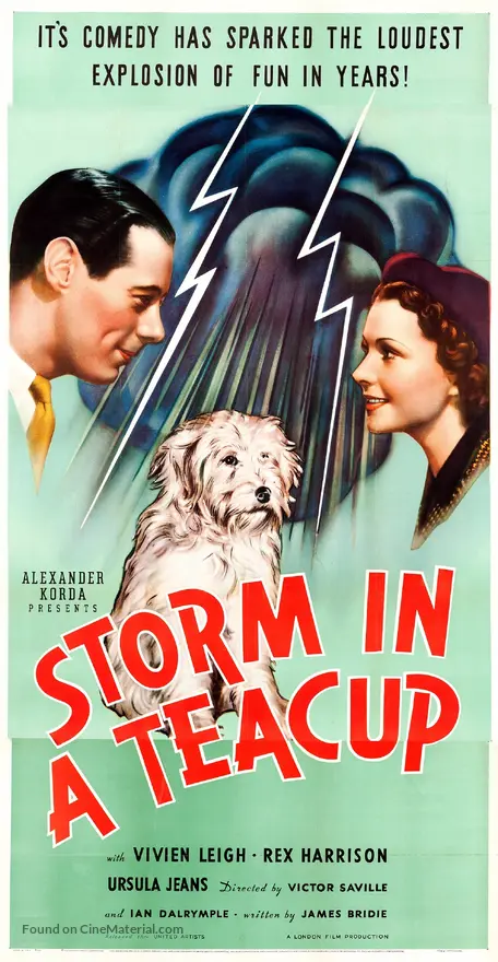 Storm in a Teacup (1937) movie poster