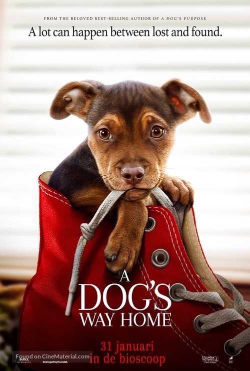 A Dog&#039;s Way Home - Dutch Movie Poster
