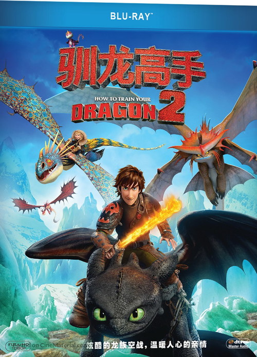 How to Train Your Dragon 2 - Chinese Blu-Ray movie cover