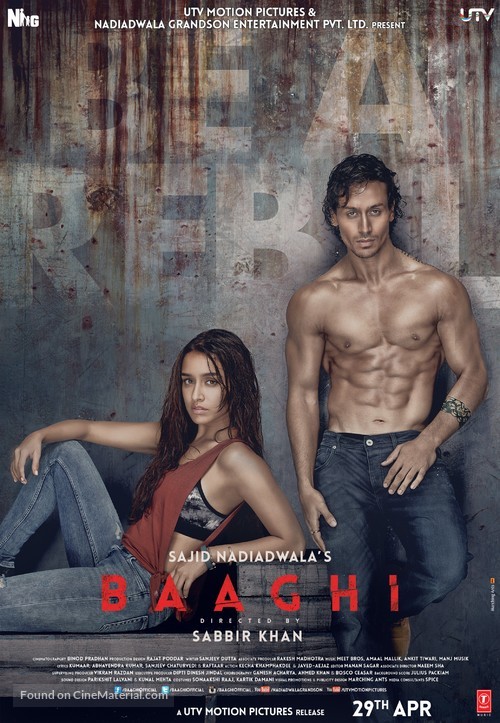 Baaghi - Indian Movie Poster