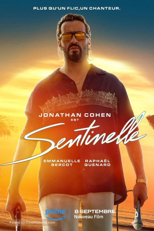 Sentinelle - French Movie Poster