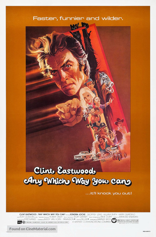 Any Which Way You Can - Movie Poster