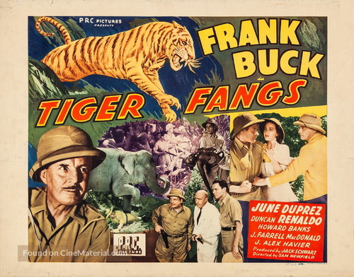 Tiger Fangs - Movie Poster