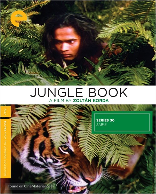 Jungle Book - Movie Cover