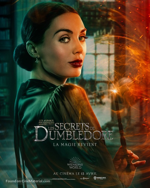 Fantastic Beasts: The Secrets of Dumbledore - French Movie Poster