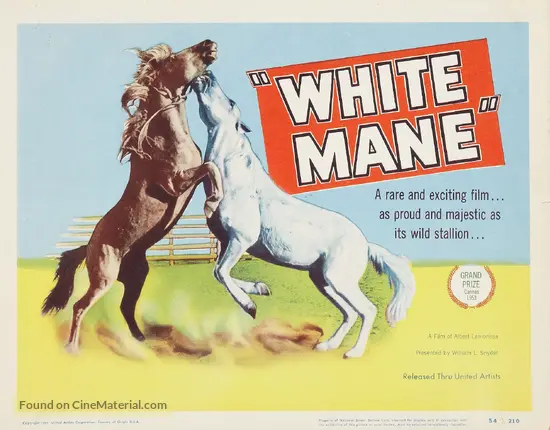 Crin Blanc Le Cheval Sauvage 1953 Movie Poster Crin Blanc Le Cheval Sauvage 1953 Movie Poster