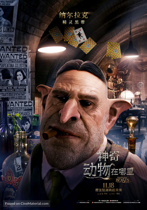 Fantastic Beasts and Where to Find Them - Chinese Movie Poster