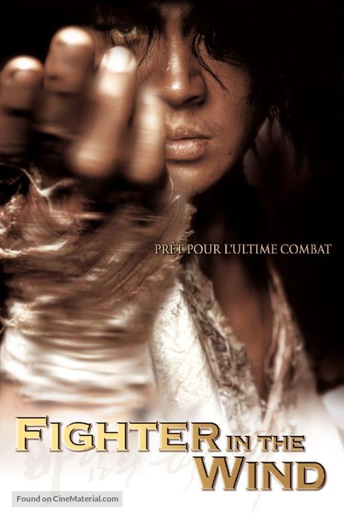 Baramui Fighter - French DVD movie cover