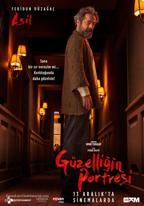 G&uuml;zelligin Portresi - Turkish Movie Poster