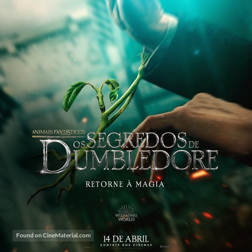 Fantastic Beasts: The Secrets of Dumbledore - Brazilian Movie Poster