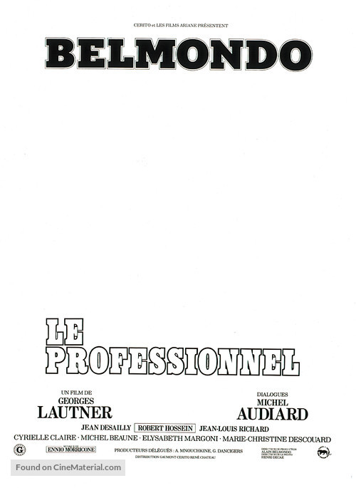 Le professionnel - French Logo