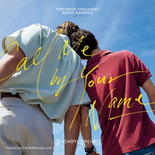 Call Me By Your Name 17 South Korean Movie Poster
