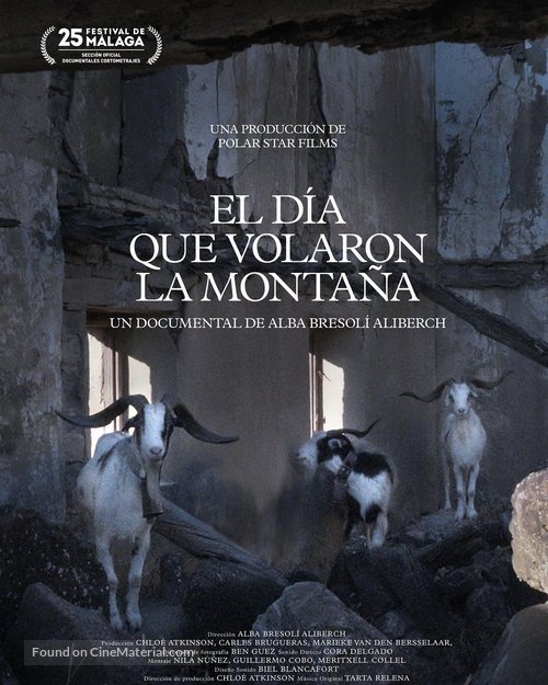 El d&iacute;a que volaron la monta&ntilde;a - Spanish Movie Poster