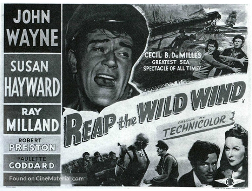 Reap the Wild Wind - poster