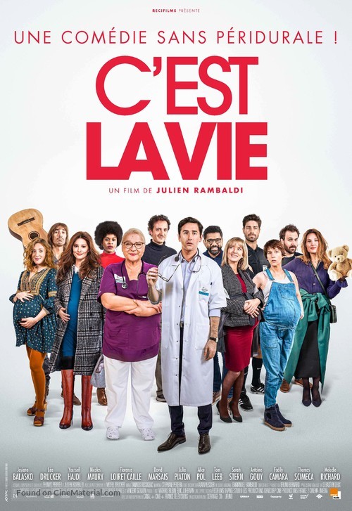 C&#039;est la vie - Swiss Movie Poster