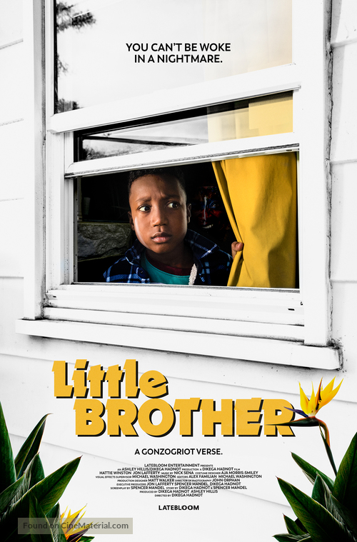 Little Brother - Movie Poster