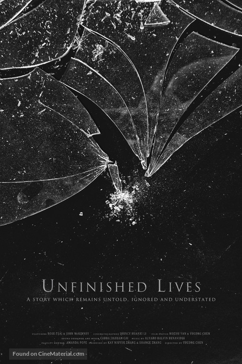 Unfinished Lives - Movie Poster