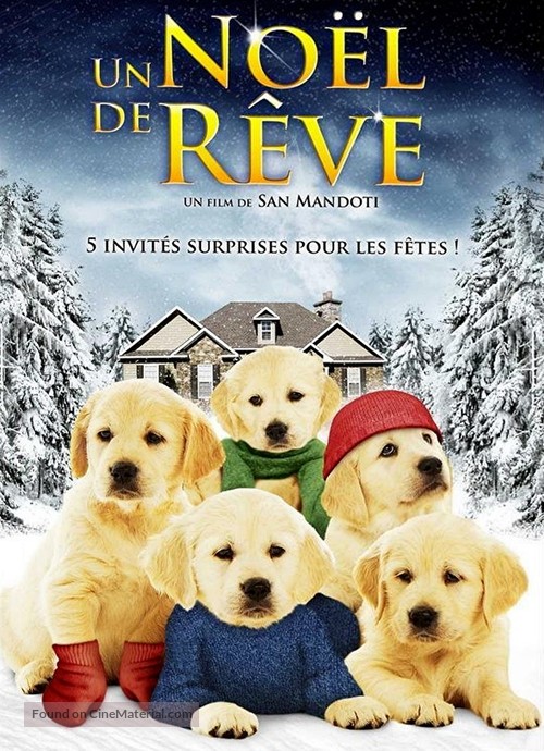 Golden Winter - French DVD movie cover
